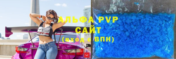 индика Каменногорск