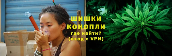 мдпв Каменка