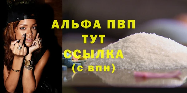 мдпв Каменка