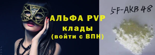 индика Каменногорск