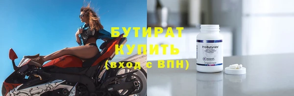 индика Каменногорск