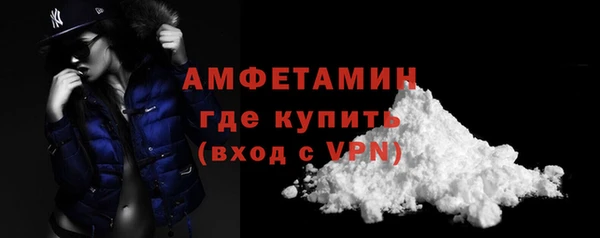 индика Каменногорск