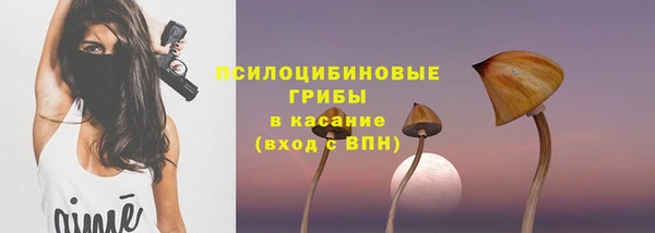 амф Карпинск