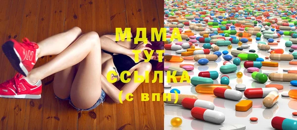 мдпв Каменка