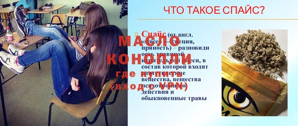 мдпв Каменка