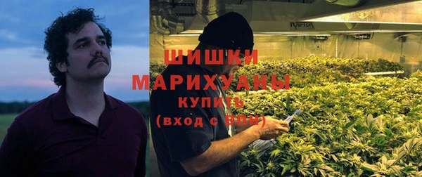 индика Каменногорск