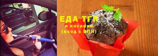 мдпв Каменка