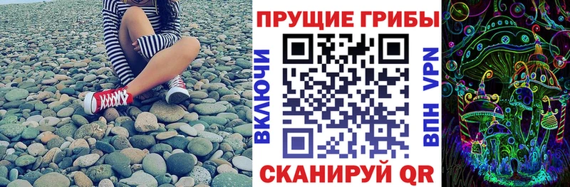 Купить  Лянтор  Псилоцибиновые грибы мухоморы 