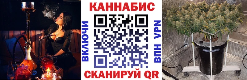 Конопля Ganja Лянтор